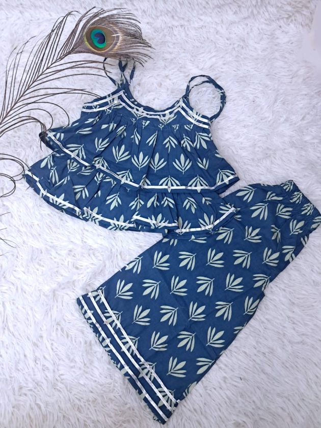 Tripura Stylish Blue Coord Set (Copy)